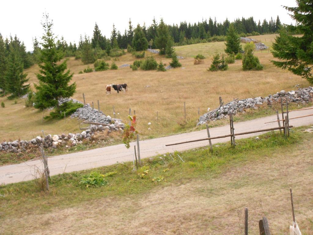 Zabljak Izdavanje Kuce Экстерьер фото